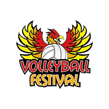 Volleyball Festival Championships (14-18s) (2026)