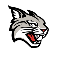 Davidson (MEN) - Fall 2026 Logo