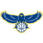 NYC Academic Elite (2026) Logo